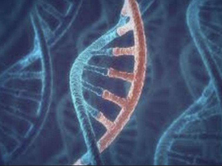 DNA strand